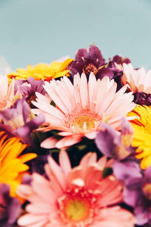 Gerbera bouquet on a blue background. Great decision for designの写真素材