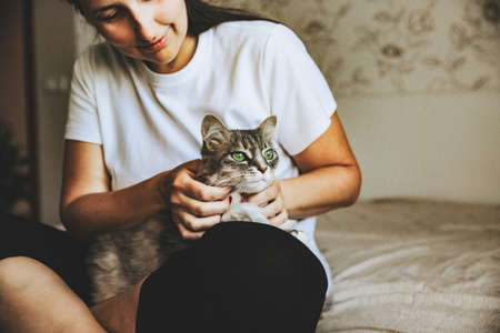 A gray striped cat with green eyes is sitting in the girls arms. Womens hands are stroking a pet. They are sitting on the bed in the bedroom. International Cat Dayの写真素材