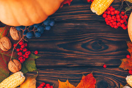 Gifts of autumn rowan, walnut, leaves, garlic, corn lie on a brown wooden background. Happy Thanksgiving day. Bannerの写真素材