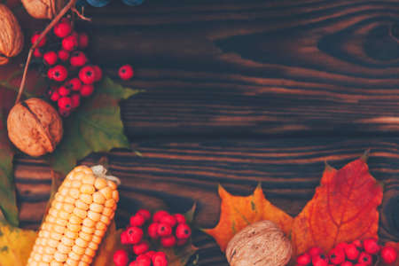 Gifts of autumn rowan, walnut, leaves, garlic, corn lie on a brown wooden background. Happy Thanksgiving day.の写真素材