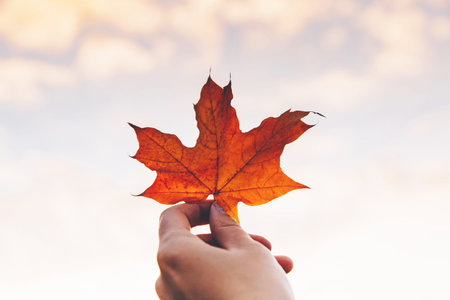 Female hand holds a yellow maple autumn leaf against a multicolored sunset sky. Autumn concept.