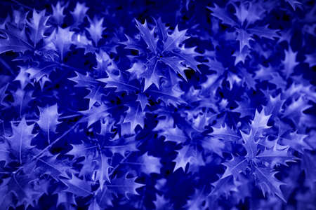 Violet abstract natural leafy background. Trendy color 2022. Very peri color background.の写真素材