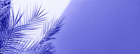 Violet abstract natural leafy background. Trendy color 2022. Very peri color background. Bannerの写真素材