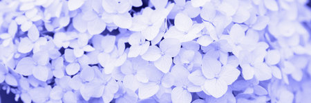 Violet abstract natural leafy background. Trendy color 2022. Very peri color background. Banner