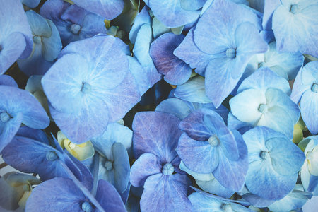 Multicolored floral and deciduous natural background. Very bright colored backdrop.の写真素材