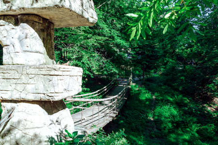 A picturesque suspension bridge in a green forest. The bridge is made of bamboo and wood.の写真素材