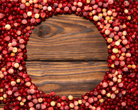 Cranberries. Bright red and orange background of ripe juicy autumn berries. A round place for the text.の写真素材