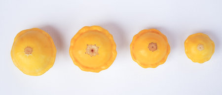 Four yellow ripe patissons on a white background are reduced in size. Banner.