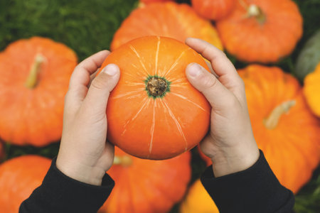 Children's hands hold a small pumpkin against the background of many large orange pumpkins and grass. Concept: autumn harvest, Thanksgiving.の写真素材
