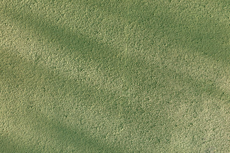 Green background wall texture. Background for design.の写真素材