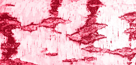 Trendy color 2023. Via magenta color background. Design backdrop.の写真素材