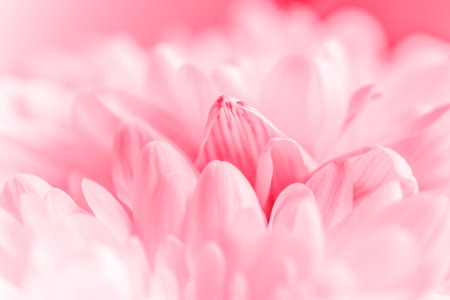 Trendy color 2023. Via magenta color background. Design backdrop.の写真素材