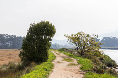 Along the riverside