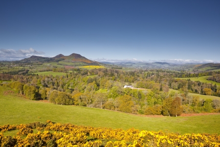 Scott's view in the Scottish Borders of the United Kingdom.の写真素材