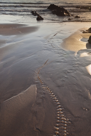 The beach of Welcombe Mouth on the north Devon coastline の写真素材