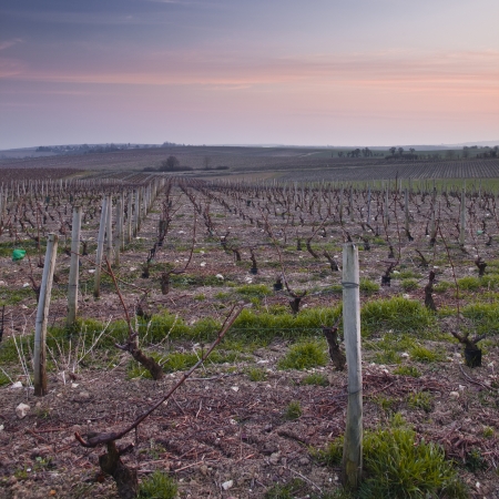 Sancerre, Cher, France.の写真素材