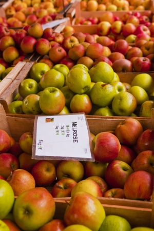 Melrose and other apple varities on sale at the market in Tours, France.のeditorial素材