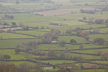 The Somerset Levels.