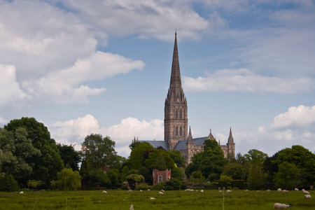 Salisbury cathedral in Wiltshire.