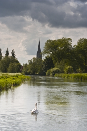 Salisbury cathedral in Wiltshire.の写真素材