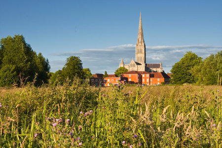 Salisbury cathedral across the water meadows.
