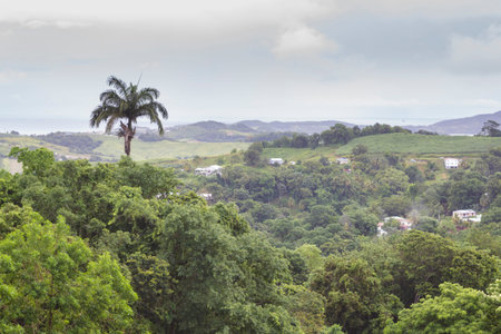 The tropical island paradise of Martinique.の写真素材