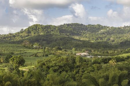 Founded in 1635 by Pierre Belain d'Esnamby, the island of Martiique is an overseas department of France in the Caribbean.の写真素材