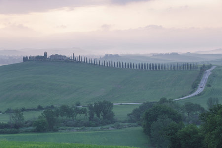 Early morning mist on the Val d'Orcia in Tuscany.の写真素材