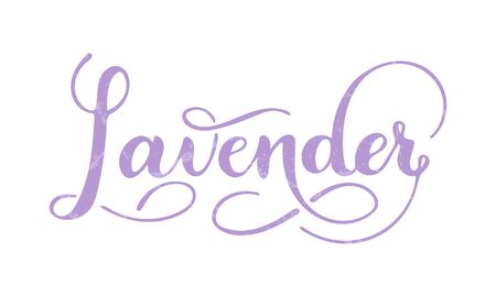 Vector hand written lavender text isolated on white background. Kitchen healthy herbs and spices for cooking. Script brushpen lettering with flourishes. Handwriting for banner, poster, product labelのイラスト素材