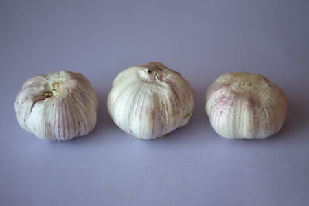 Three garlic bulbs in a row isolated on purple background. Close up of seasonal vegetable. Fresh...