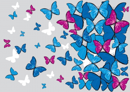 gray vector background with colorful butterflies for designのイラスト素材
