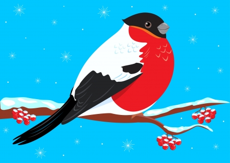 winter illustration bullfinch sitting on a branch is snowingのイラスト素材
