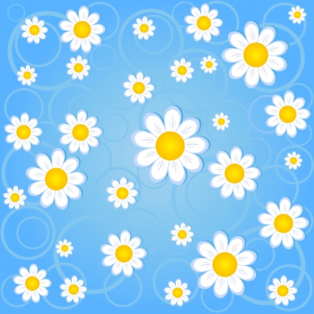 chamomile backgroundのイラスト素材