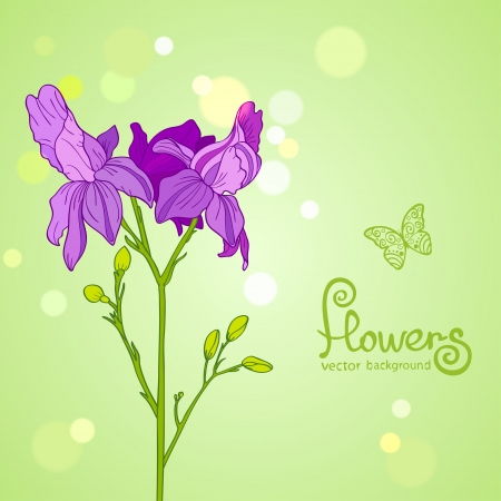 Illustration background Beautiful purple flowerのイラスト素材