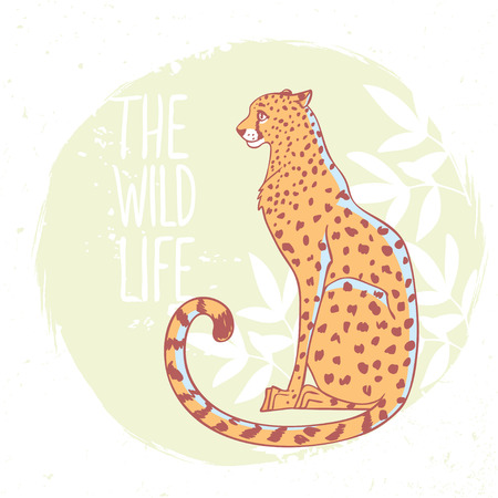 Amazing animal cheetah with sample text - the wild life.のイラスト素材