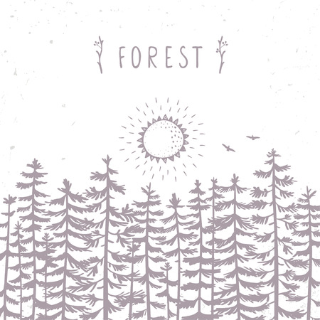 Forest from beautiful and amazing tall pines and sun. Hand drawn.のイラスト素材