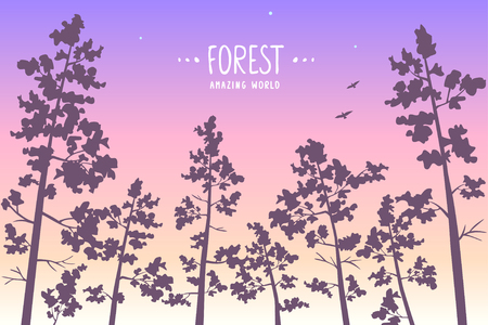 Amazing and beautiful pine forest at night with sample text. Vector illustration.のイラスト素材