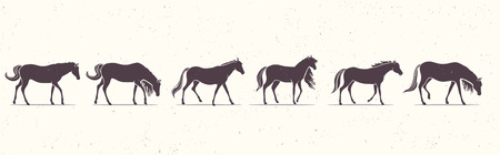 Silhouette of beautiful stylized horses on white background. Vector illustrationのイラスト素材