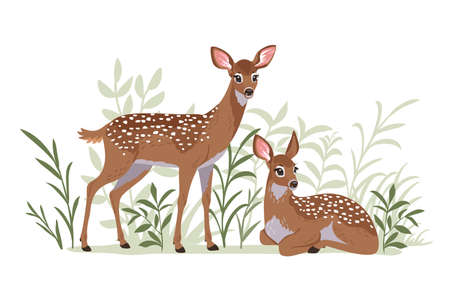 two deersのイラスト素材