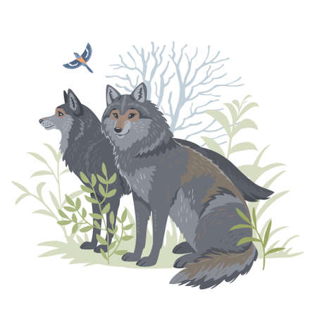 cute wolfのイラスト素材