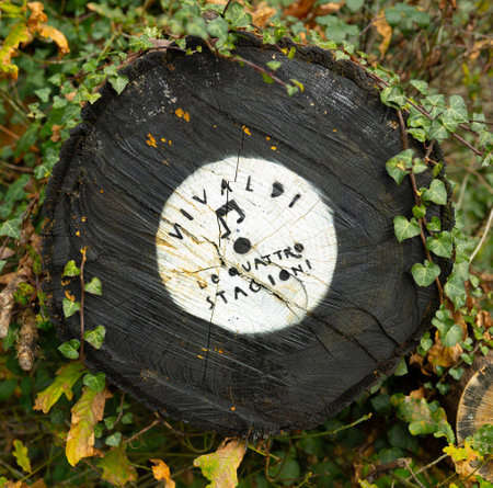 Tree trunk cut and painted in the shape of music vinyl in black and white surrounded by ivy and nature. The four Seasonsの写真素材