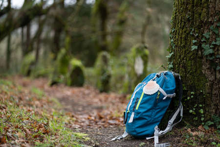 Blue backpack of a pilgrim, leaning against a tree in the middle of a path, with a hanging shell, symbol of the pilgrim, in a green forestの写真素材