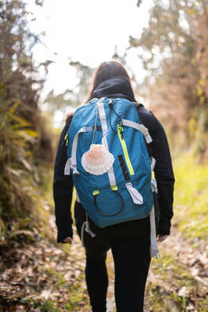 Hiker brunette woman, doing the Camino de Santiago, in a forest, with a blue backpack and a shell, with a black jacket. Lifestyle concept. Hike, way of st jamesの写真素材