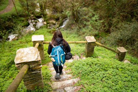 Hiker brunette woman, doing the Camino de Santiago, in a forest, with a blue backpack and a shell,...
