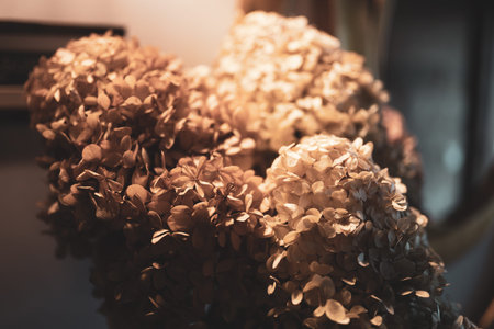 Dried flowers in a basket