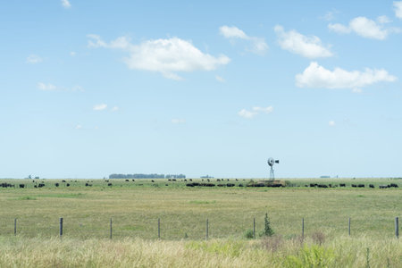 Landscape of grassland with a windmill in the background.