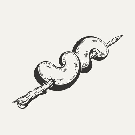 Illustration of sausage. Monochrome on white background.のイラスト素材