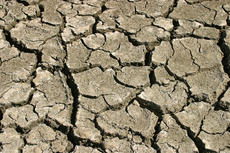 Dried cracked desert ground closeupの写真素材