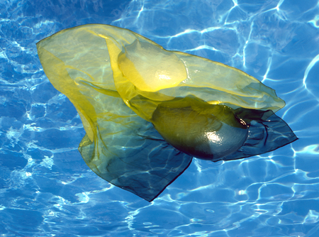 Yellow and black fabric floating in poolの写真素材