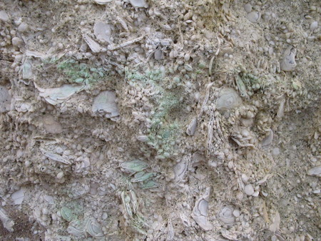 Stone texture backgroundの写真素材